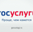 Социально значимые услуги в электронном виде - Ветлужский район