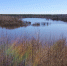 Паводковая ситуация в Ветлужском МО 16 апреля 2026 года - Ветлужский муниципальный округ